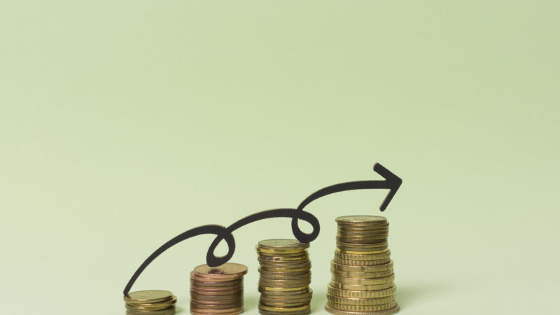 Essential Profit Margin Tips for Better Business Health