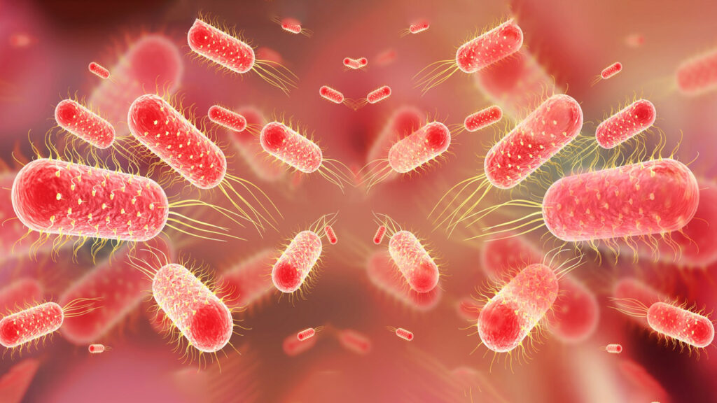 Malaria Symptoms – Fever Patterns Every Patient Notices