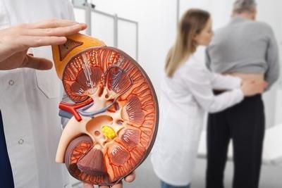 Chronic Kidney Disease Symptoms – Silent Signs Appearing Too Late