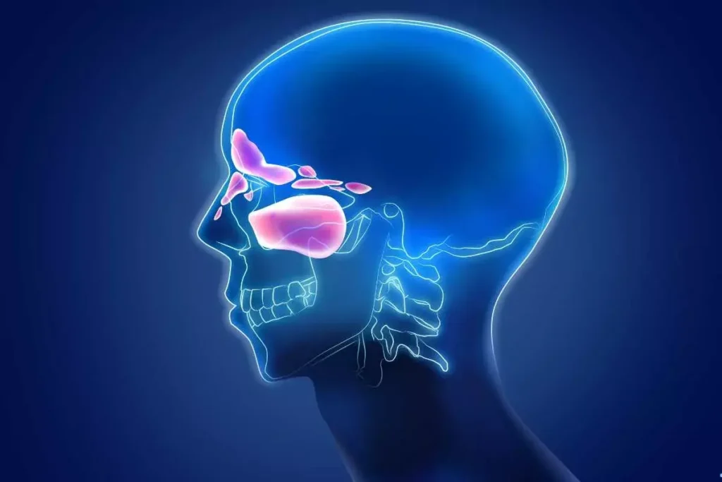 Sinusitis Symptoms – Facial Pain And Pressure Signs